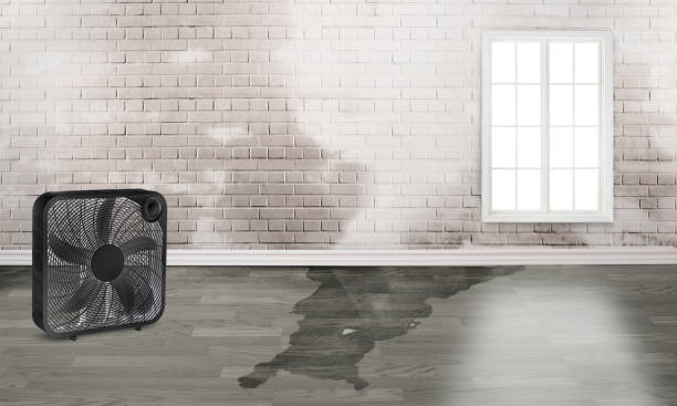 Water damage restoration experts in Villa Park, CA